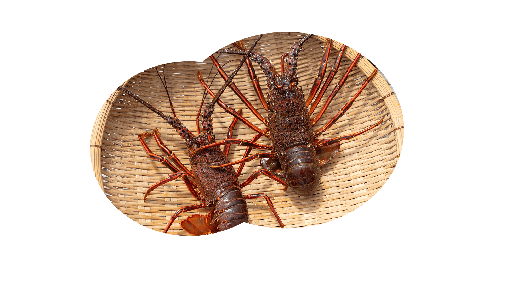 漁師が届けるこだわり惣菜